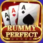 Rummy perfect logo